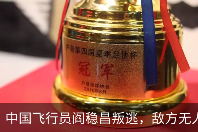 中国飞行员阎稳昌叛逃，敌方无人接应，最后撞山，结局悲惨，机毁人亡